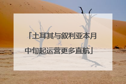 土耳其与叙利亚本月中旬起运营更多直航