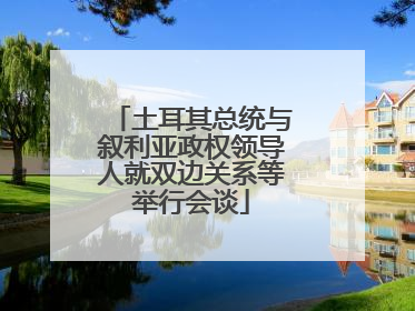 土耳其总统与叙利亚政权领导人就双边关系等举行会谈