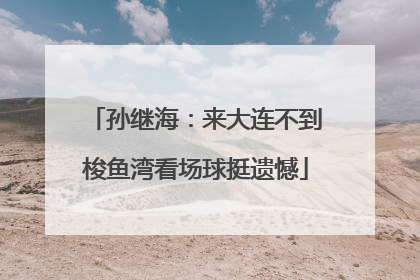 孙继海：来大连不到梭鱼湾看场球挺遗憾