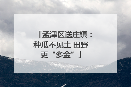 孟津区送庄镇：种瓜不见土 田野更“多金”
