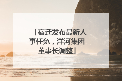宿迁发布最新人事任免，洋河集团董事长调整