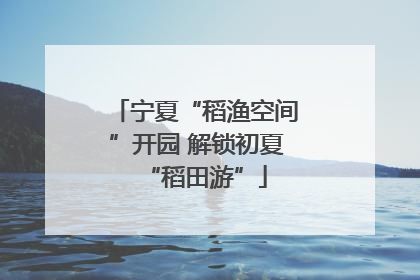 宁夏“稻渔空间”开园 解锁初夏“稻田游”