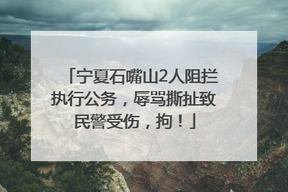 宁夏石嘴山2人阻拦执行公务，辱骂撕扯致民警受伤，拘！