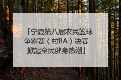 宁夏第八届农民篮球争霸赛（村BA）决赛掀起全民健身热潮