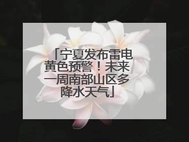 宁夏发布雷电黄色预警！未来一周南部山区多降水天气