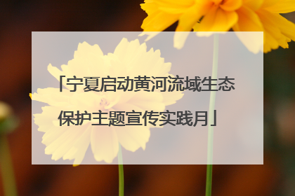宁夏启动黄河流域生态保护主题宣传实践月