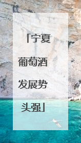 宁夏葡萄酒发展势头强