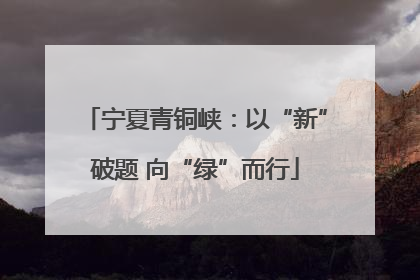 宁夏青铜峡：以“新”破题 向“绿”而行