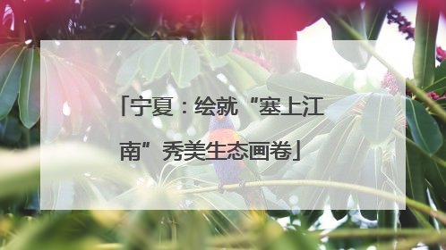 宁夏：绘就“塞上江南”秀美生态画卷