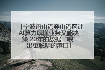 宁波舟山港穿山港区让AI算力既懂业务又能决策 20年的数据“喂”出更聪明的港口