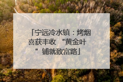 宁远冷水镇：烤烟喜获丰收 “黄金叶”铺就致富路