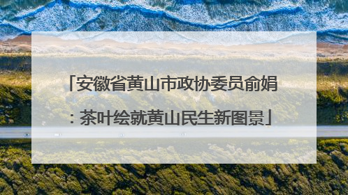 安徽省黄山市政协委员俞娟：茶叶绘就黄山民生新图景