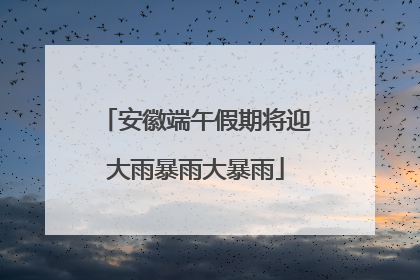 安徽端午假期将迎大雨暴雨大暴雨
