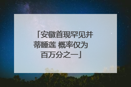 安徽首现罕见并蒂睡莲 概率仅为百万分之一