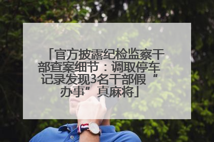 官方披露纪检监察干部查案细节：调取停车记录发现3名干部假“办事”真麻将