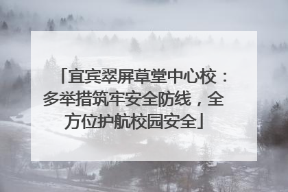 宜宾翠屏草堂中心校：多举措筑牢安全防线，全方位护航校园安全