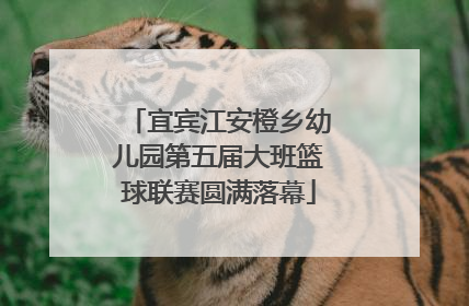 宜宾江安橙乡幼儿园第五届大班篮球联赛圆满落幕