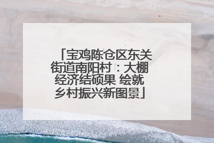 宝鸡陈仓区东关街道南阳村：大棚经济结硕果 绘就乡村振兴新图景