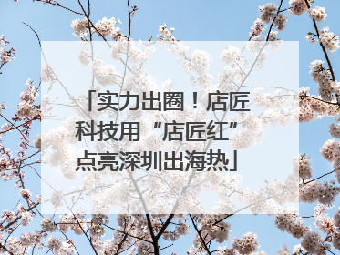 实力出圈！店匠科技用“店匠红”点亮深圳出海热