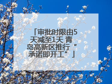 审批时限由5天减至1天 青岛高新区推行“承诺即开工”
