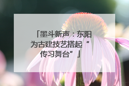墨斗新声：东阳为古建技艺搭起“传习舞台”
