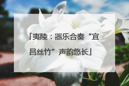 夷陵：器乐合奏“宜昌丝竹”声韵悠长