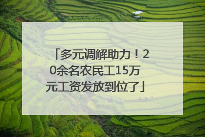 多元调解助力！20余名农民工15万元工资发放到位了