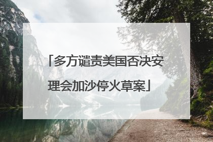 多方谴责美国否决安理会加沙停火草案