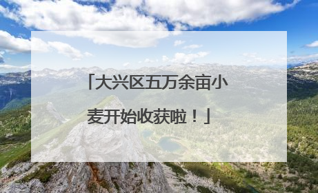 大兴区五万余亩小麦开始收获啦！
