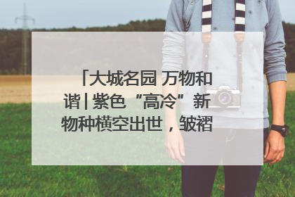 大城名园 万物和谐│紫色“高冷”新物种横空出世，皱褶叶片暗藏进化密码