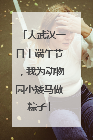 大武汉一日丨端午节，我为动物园小矮马做粽子