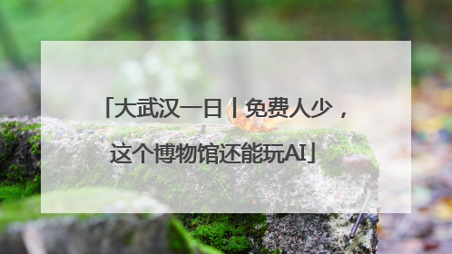 大武汉一日丨免费人少，这个博物馆还能玩AI