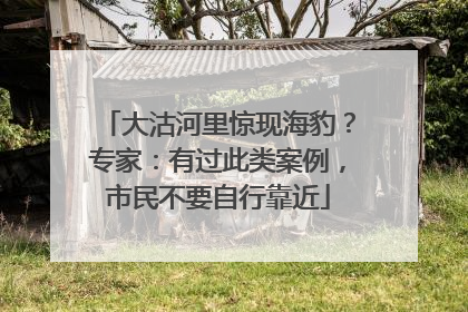 大沽河里惊现海豹？专家：有过此类案例，市民不要自行靠近
