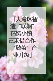 大湾区智造“联姻”精铸小镇 嘉禾借合作“破茧”产业升级