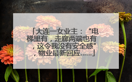 大连一女业主：“电梯里有，走廊两端也有，这令我没有安全感”，物业最新回应……