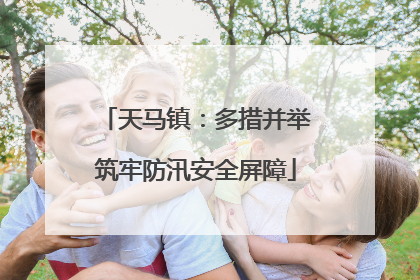 天马镇：多措并举筑牢防汛安全屏障