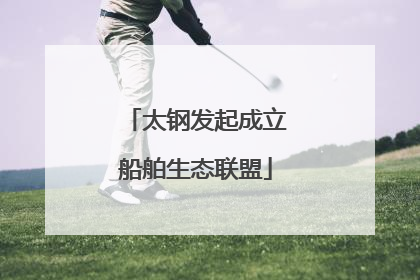太钢发起成立船舶生态联盟