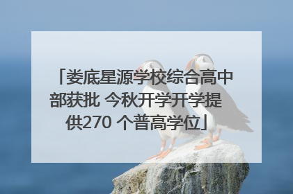 娄底星源学校综合高中部获批 今秋开学开学提供270 个普高学位