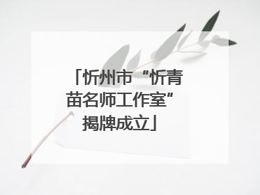 忻州市“忻青苗名师工作室”揭牌成立