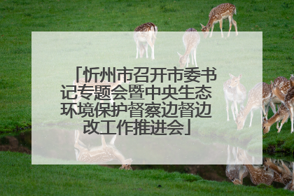 忻州市召开市委书记专题会暨中央生态环境保护督察边督边改工作推进会