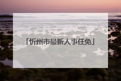 忻州市最新人事任免