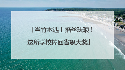 当竹木遇上掐丝珐琅！这所学校捧回省级大奖