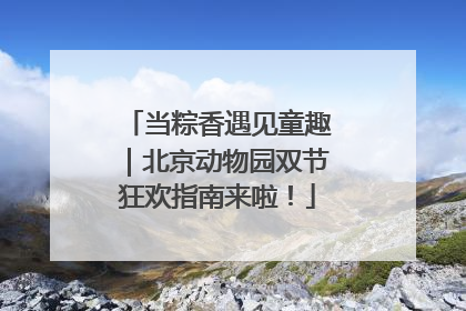 当粽香遇见童趣｜北京动物园双节狂欢指南来啦！
