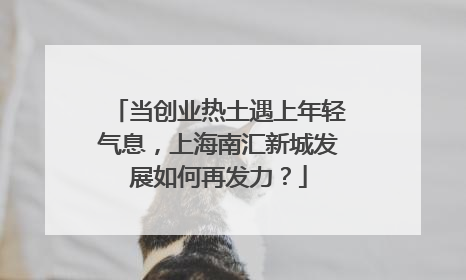 当创业热土遇上年轻气息，上海南汇新城发展如何再发力？