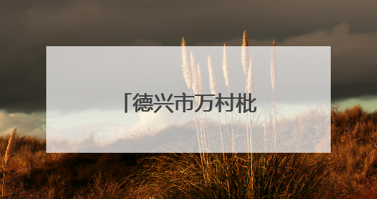 德兴市万村枇杷熟了（图）