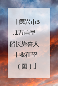 德兴市3.1万亩早稻长势喜人 丰收在望（图）