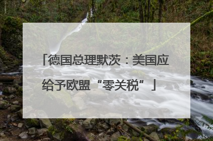 德国总理默茨：美国应给予欧盟“零关税”