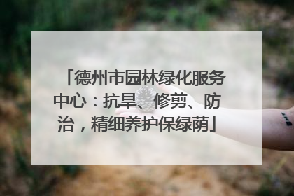 德州市园林绿化服务中心：抗旱、修剪、防治，精细养护保绿荫