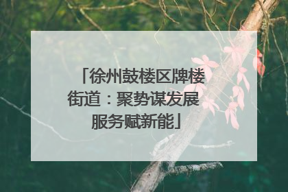 徐州鼓楼区牌楼街道：聚势谋发展 服务赋新能