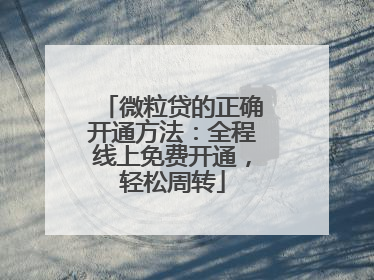 微粒贷的正确开通方法：全程线上免费开通，轻松周转